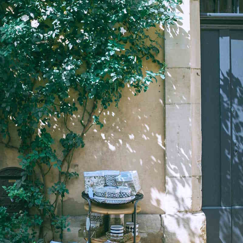 habillage végétal d un mur extérieur