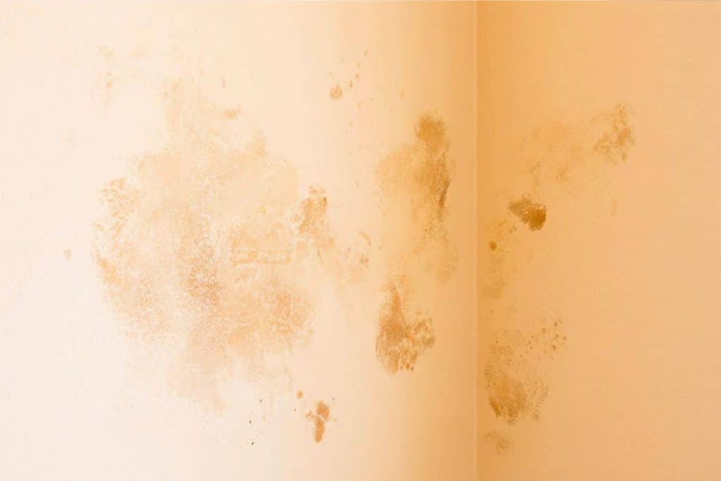 traces humidité dans la maison