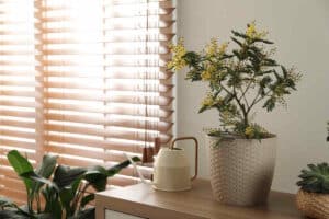 store semi fermé pour préserver de la chaleur