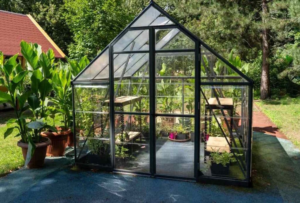 serre jardin en verre