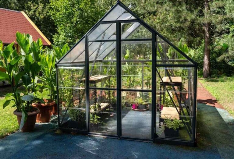 serre jardin en verre